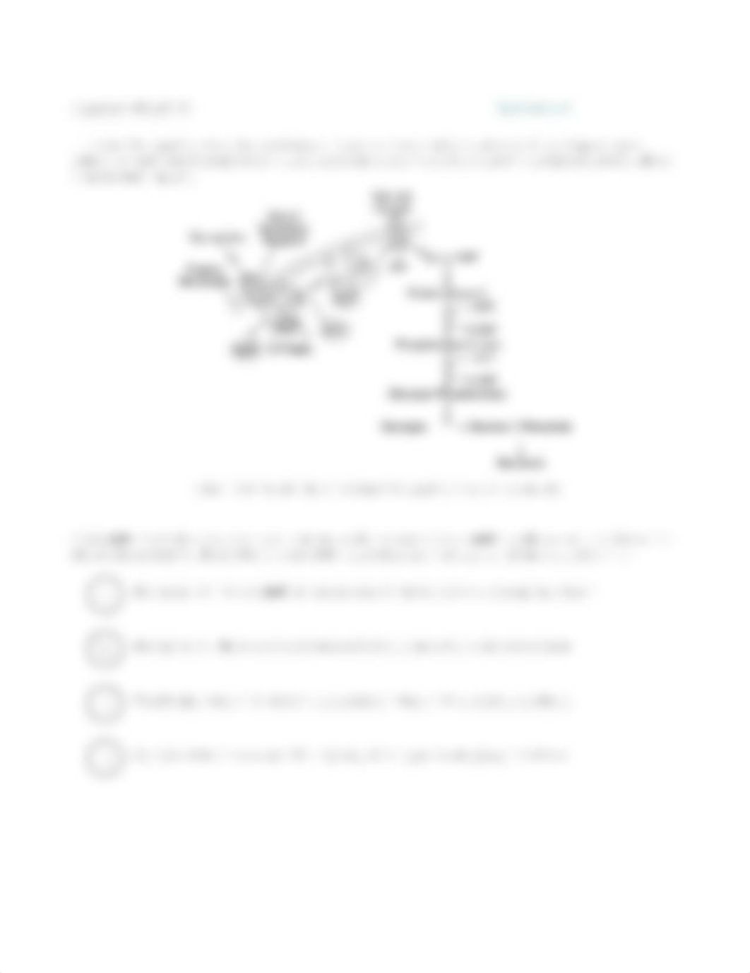 BioQuestions198.jpg_dt2cit2vdgy_page1