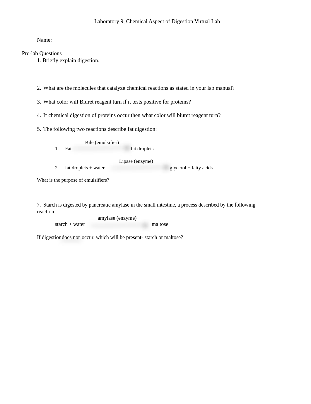 Chemical Aspects of Digestion Virtual Lab - 1.docx_dt2rjbbwyjt_page1