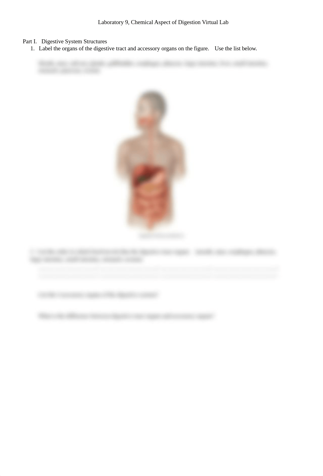 Chemical Aspects of Digestion Virtual Lab - 1.docx_dt2rjbbwyjt_page2