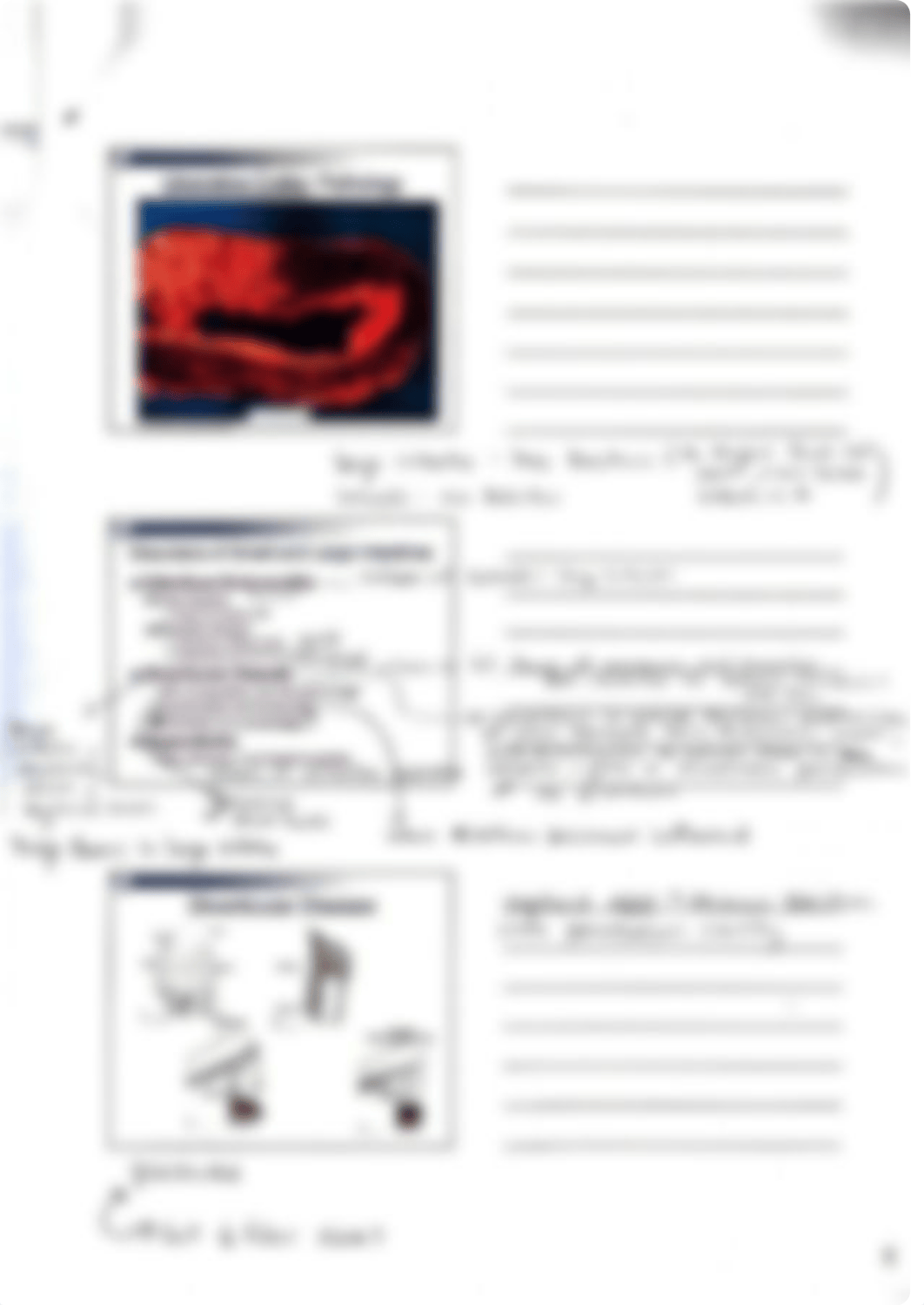 Lecture 13: GI Disorders.pdf_dt2z1pm95ib_page5