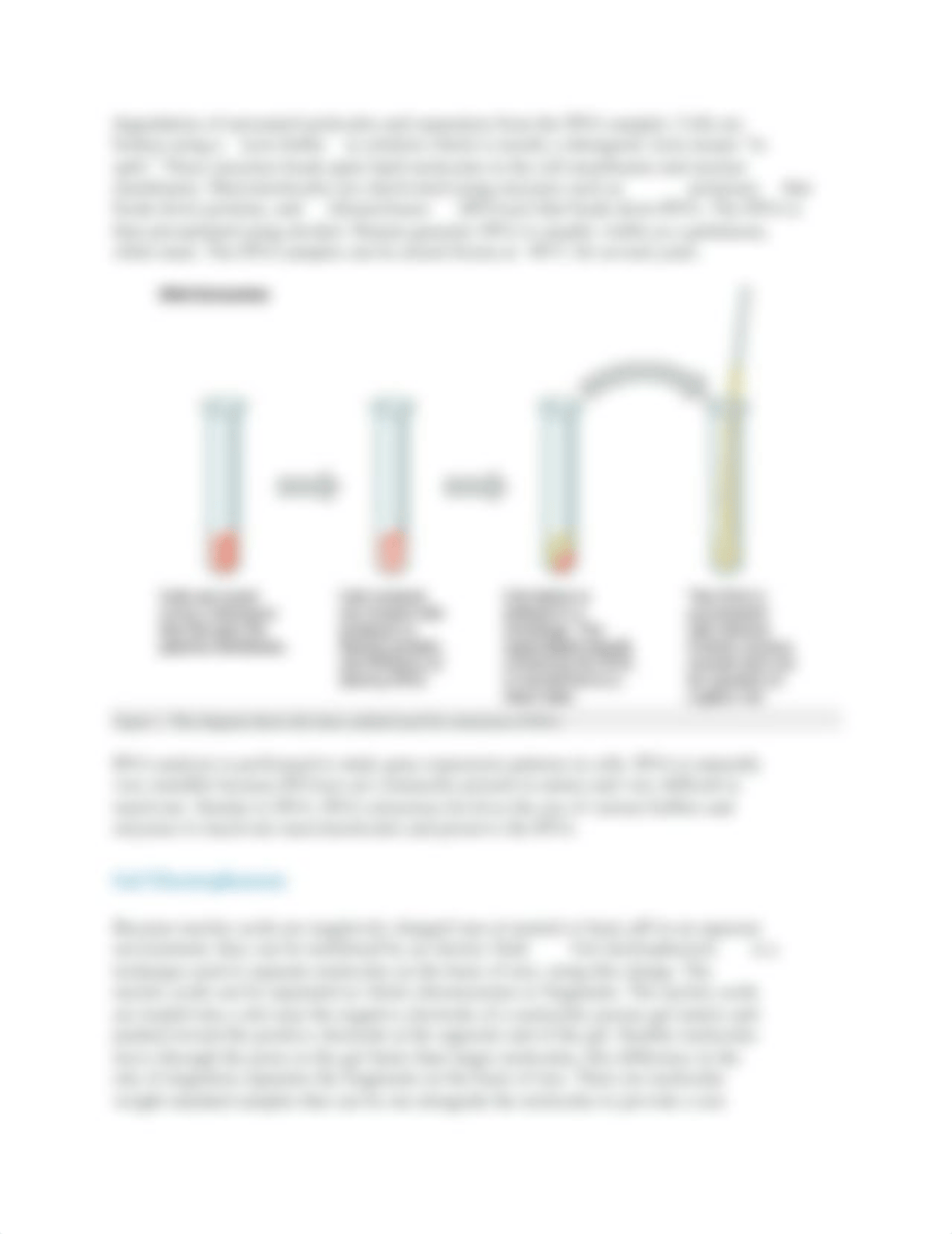 Chapter 15 Intro To Biology.docx_dt38csirms6_page3