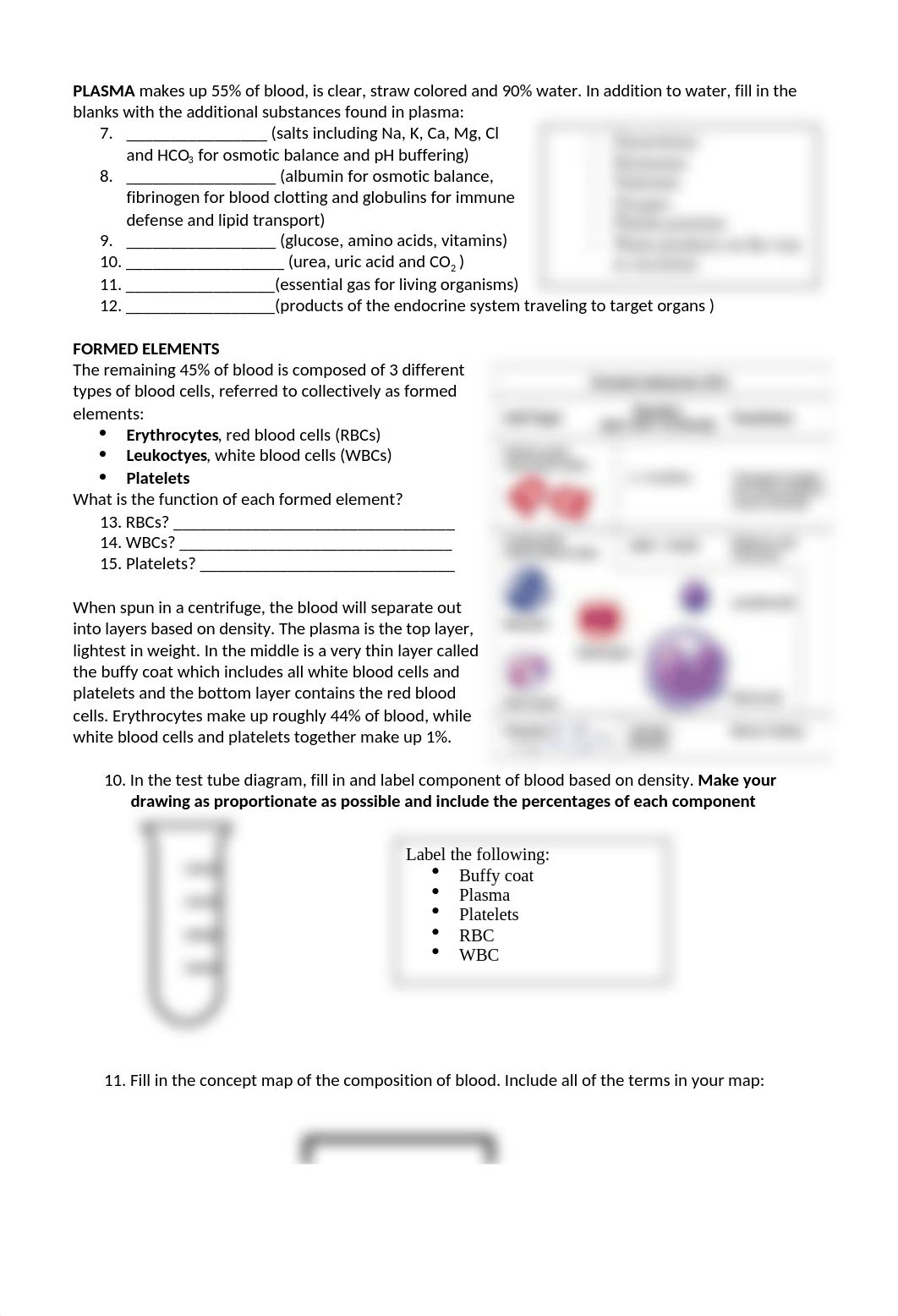 BIO 169 Lab #3 Blood A&P(2).docx_dt3zj7i4w8h_page2