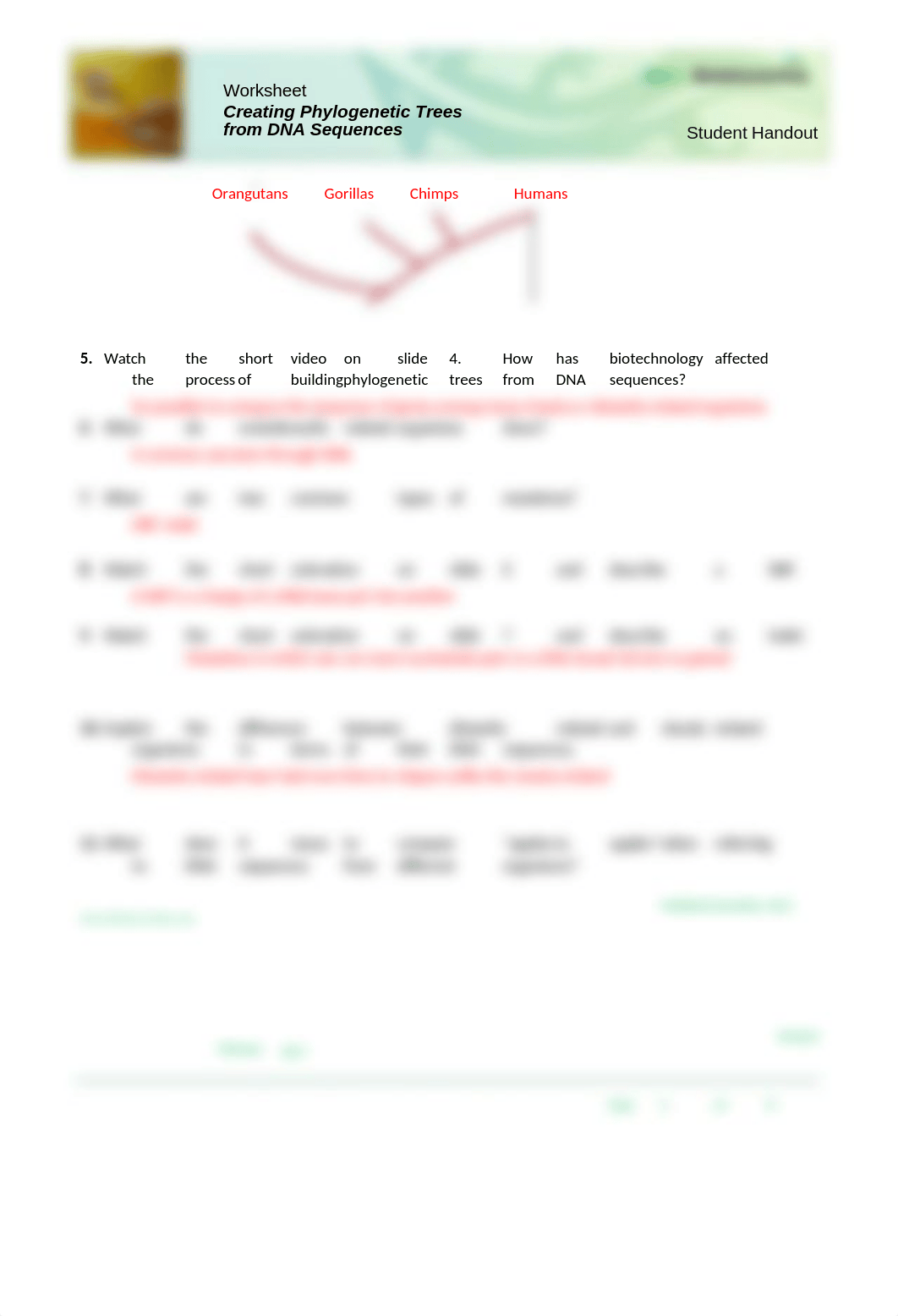 1)  Developing Phylogenetic Trees from DNA Analysis.docx_dt42ijgt0xq_page2