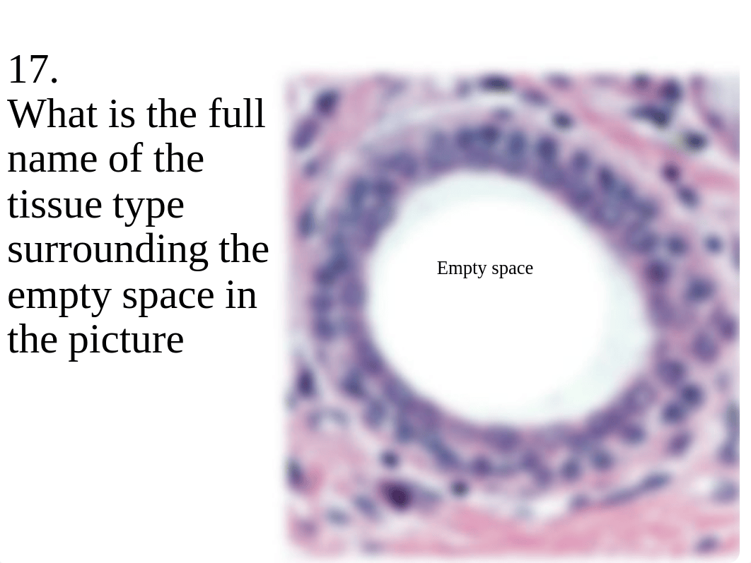 210 practice lab test 1.pdf_dt43m5fa8uq_page5