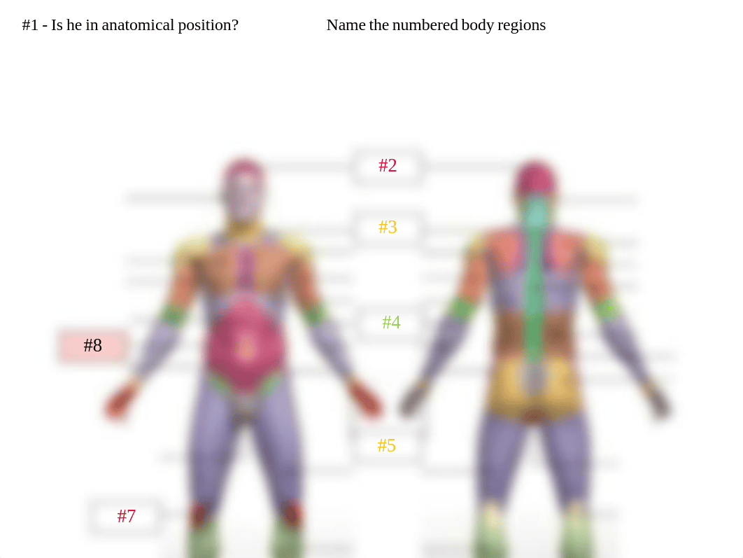 210 practice lab test 1.pdf_dt43m5fa8uq_page1