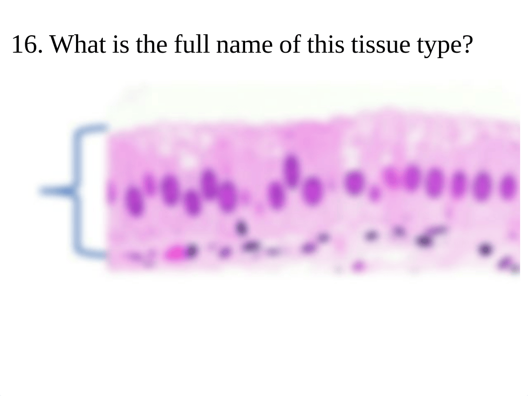 210 practice lab test 1.pdf_dt43m5fa8uq_page4