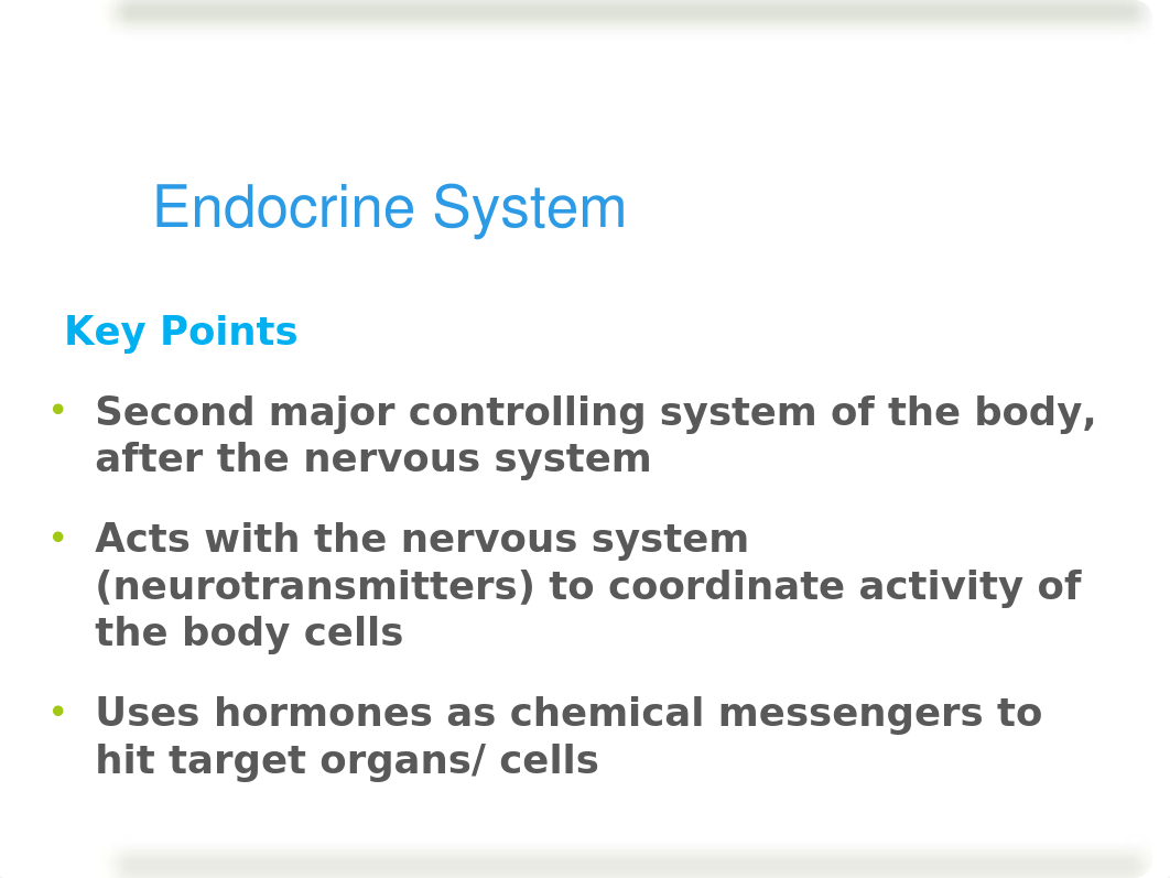 Endocrine System LAB_dt43ol4d45f_page2