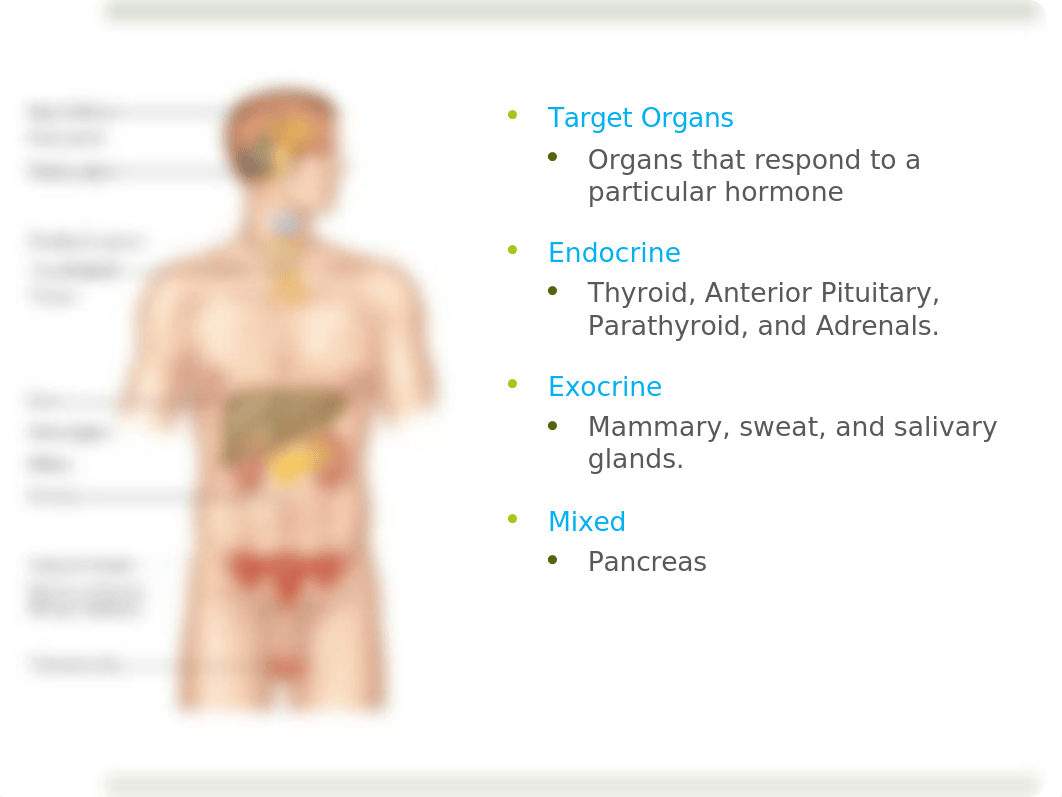 Endocrine System LAB_dt43ol4d45f_page5