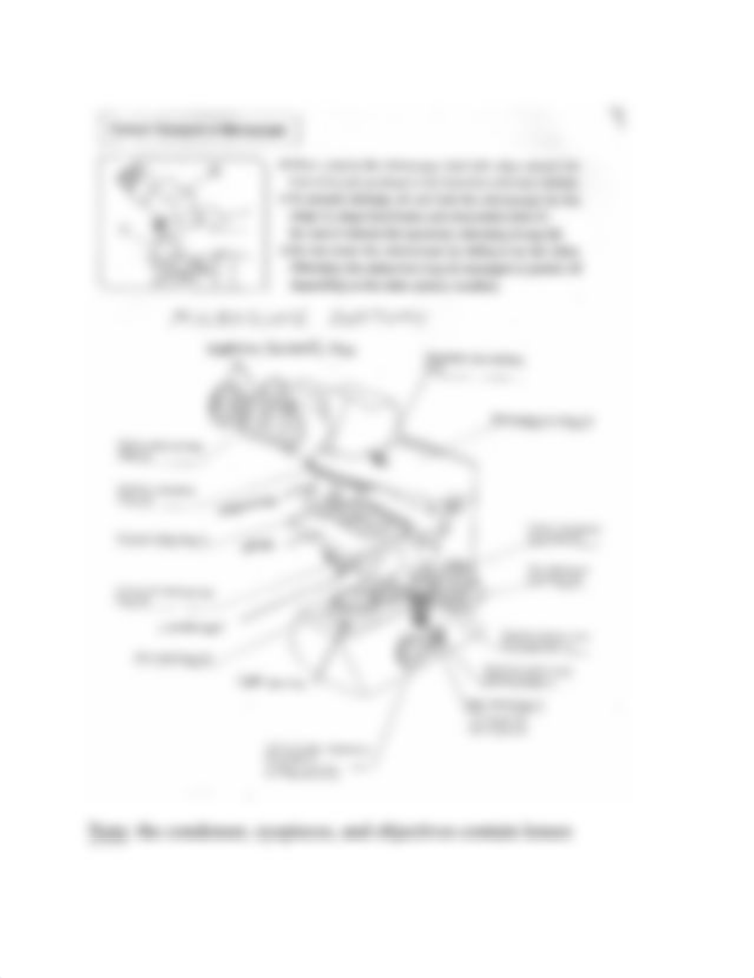 Cell Structure and Function Lab (2019).pdf_dt4a0titdbx_page2