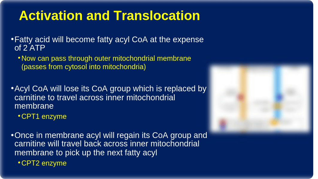 Fat Oxidation.pptx_dt4bpxgjt46_page5