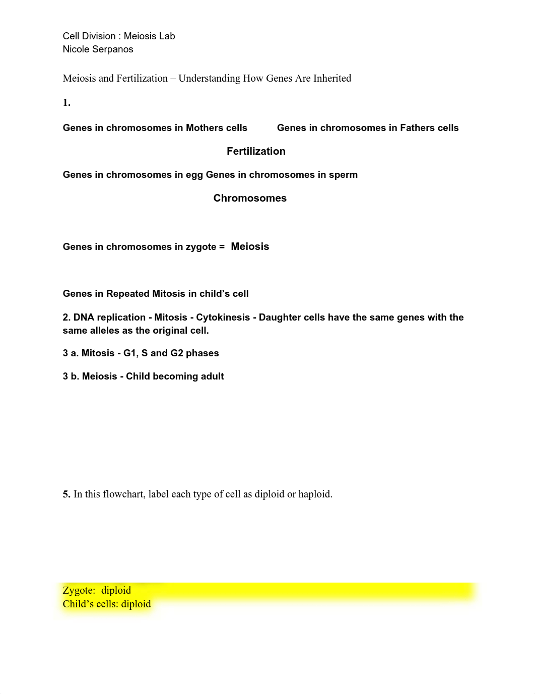 Meiosis and Fertilization - LAB .pdf_dt4brlddraz_page1