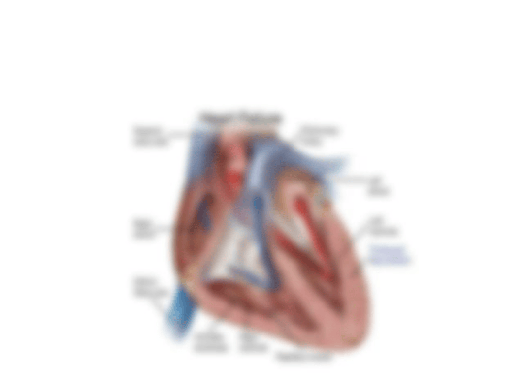 heart failure student spring 2019 (1).pptx_dt4dpxsfom5_page4