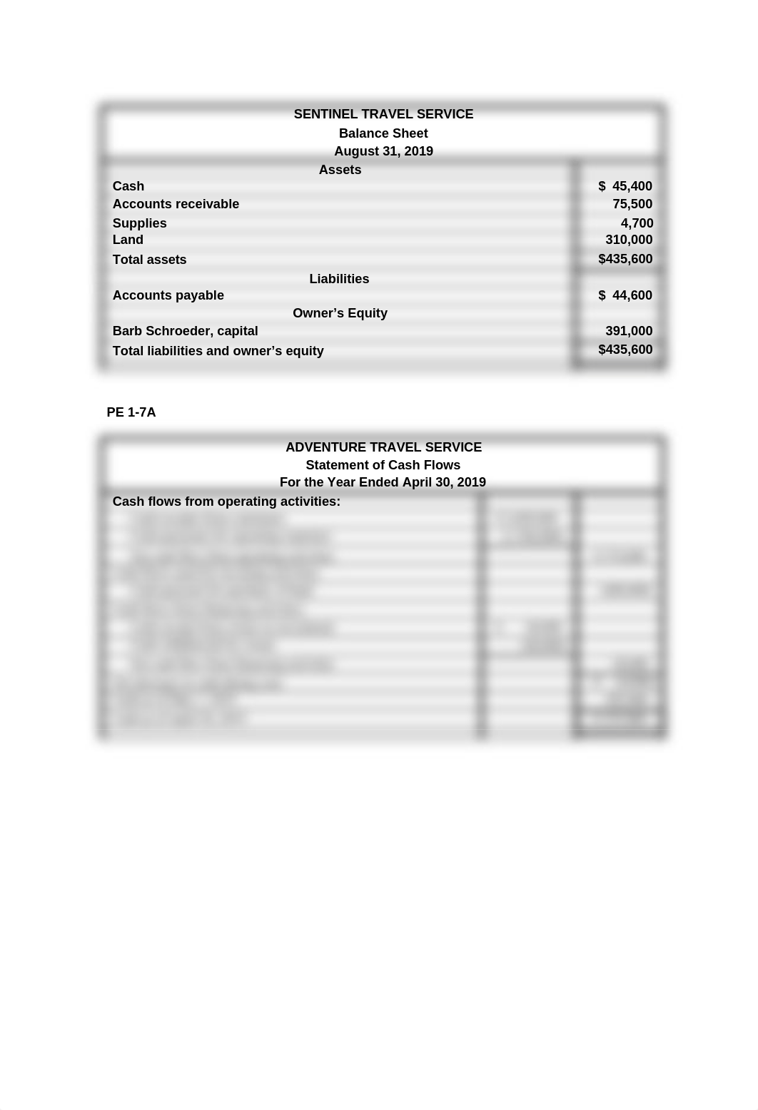 SENTINEL TRAVEL SERVICE.docx_dt4rg8veac7_page1