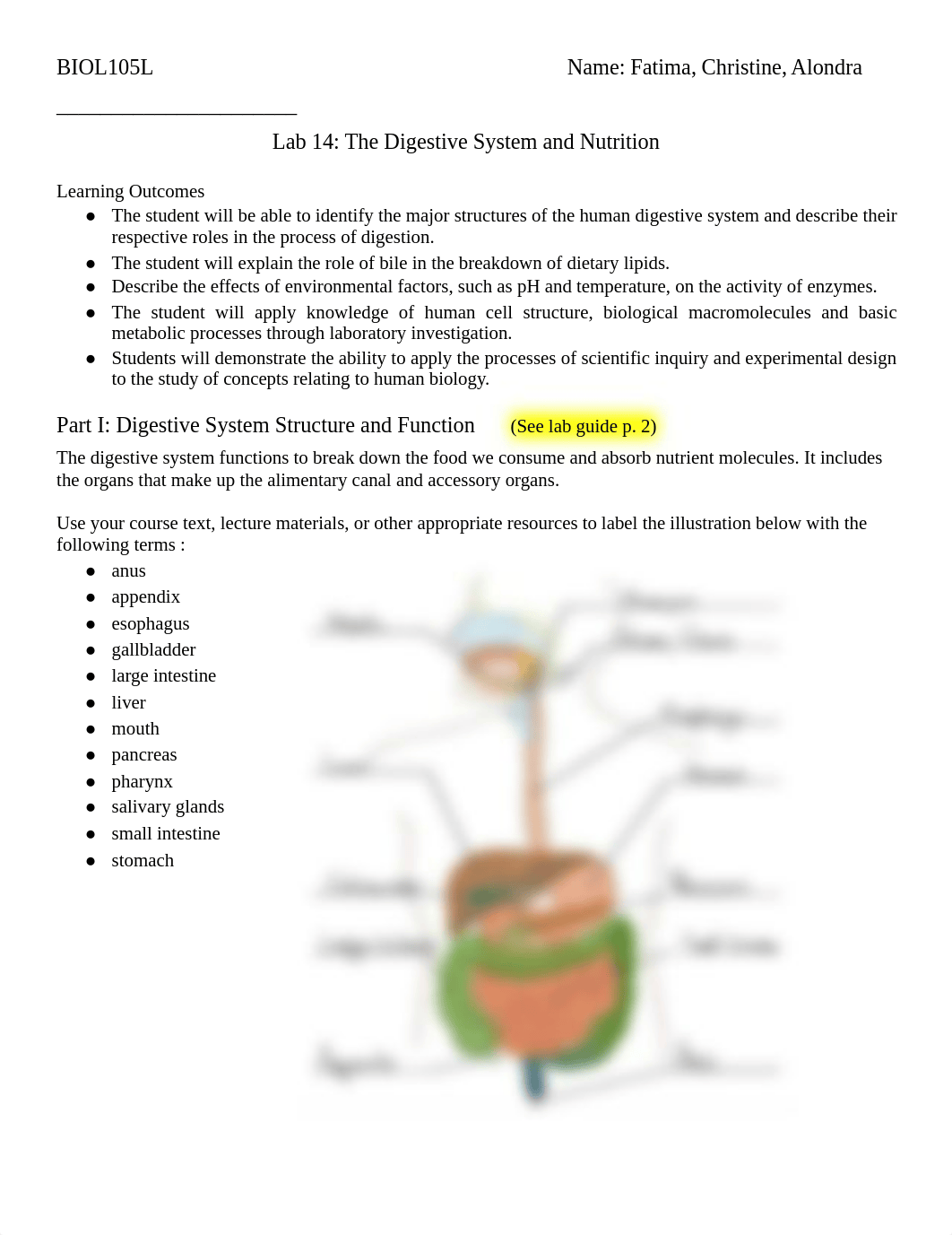 BIOL105L Digestive System and Nutrition_Online.pdf_dt4t3xcgcgn_page1