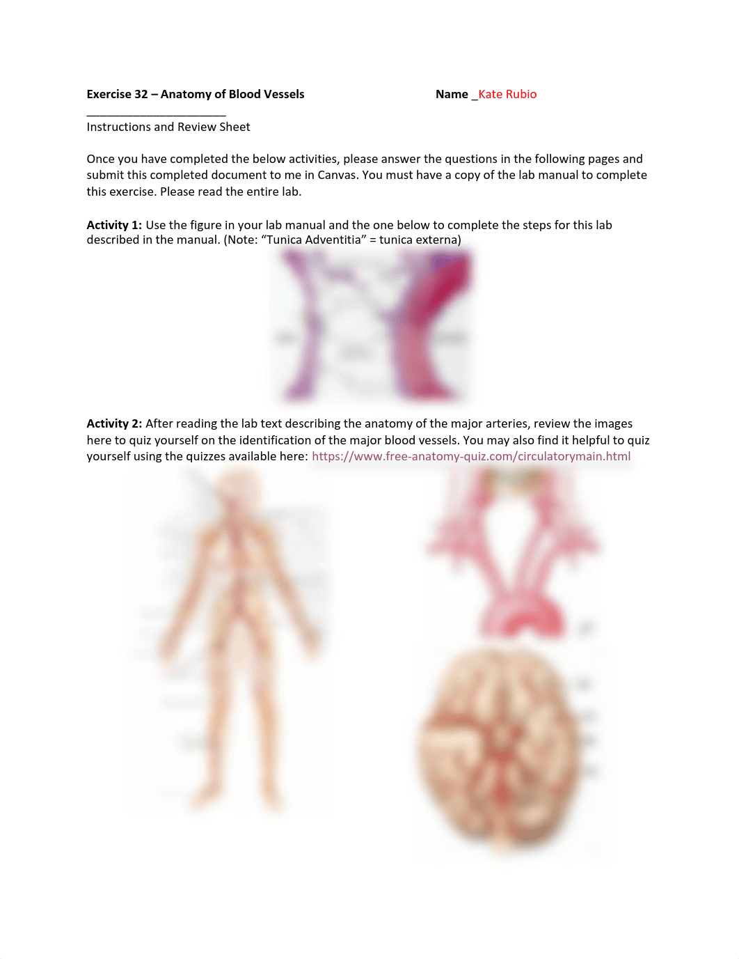 Exercise 32 - Anatomy of Blood Vessels.pdf_dt4wu0moqk6_page1