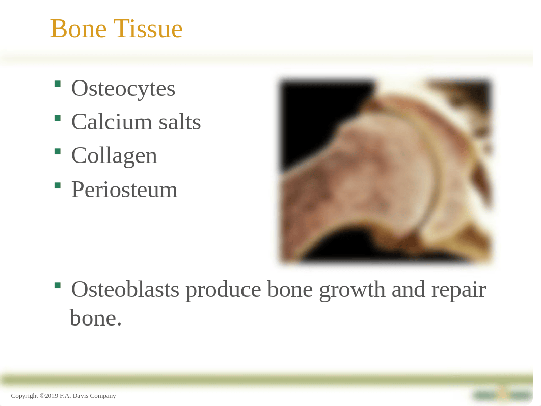 Chapter 45_Musculoskeletal Function & Assessment(1).pptx_dt4xp6287es_page5