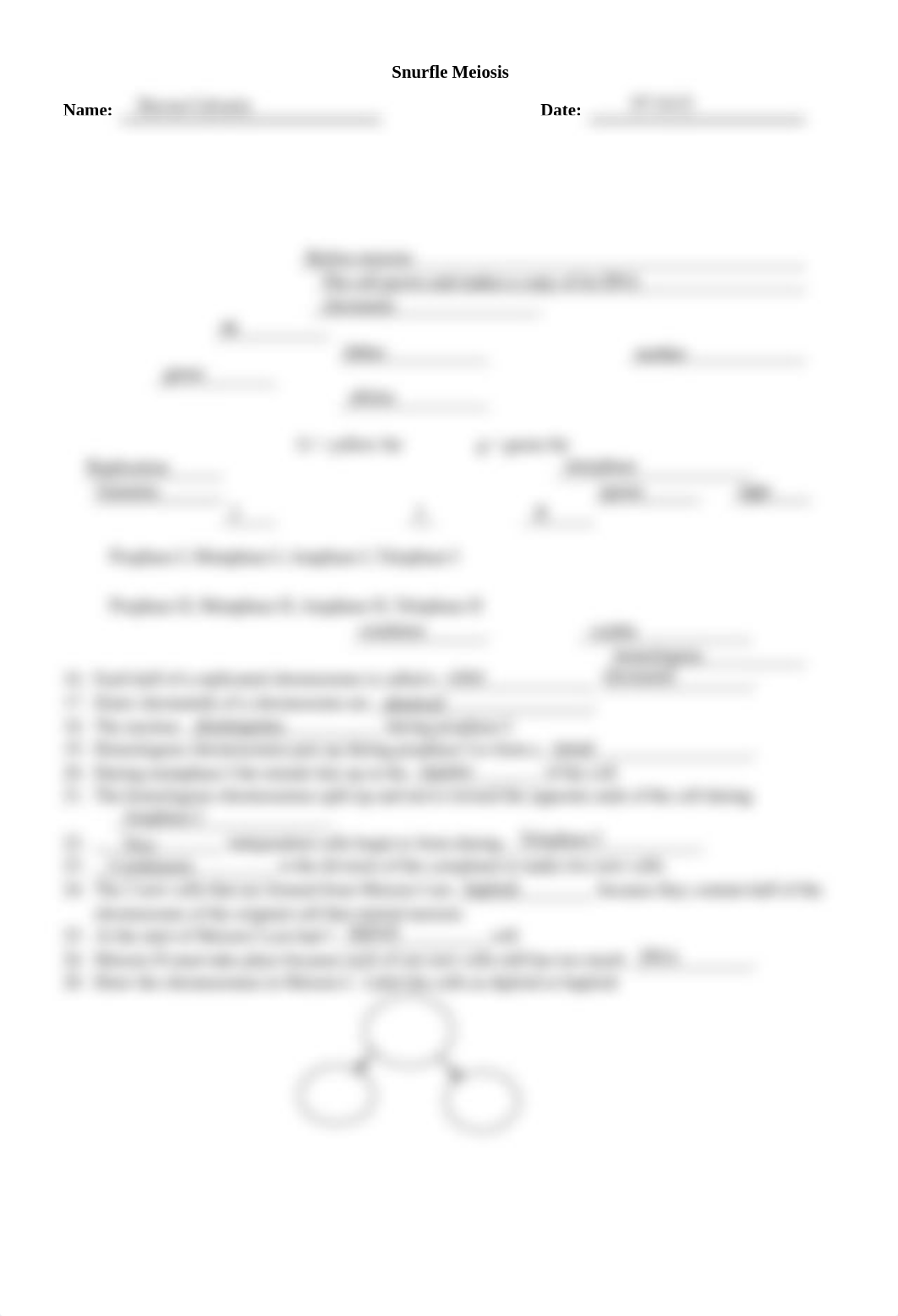 Snurfle Meiosis Worksheet.pdf_dt500ib960v_page1