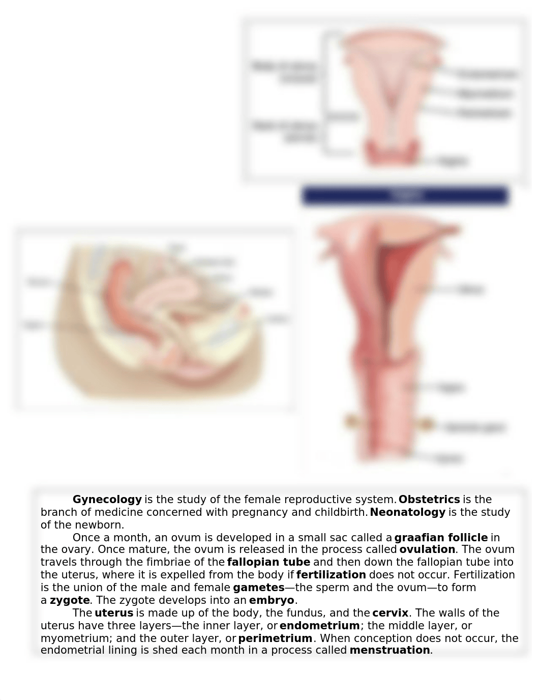 Chapter_12_Surgery_I_Book_Exercises_and_Notes.docx_dt53rtf74ju_page2