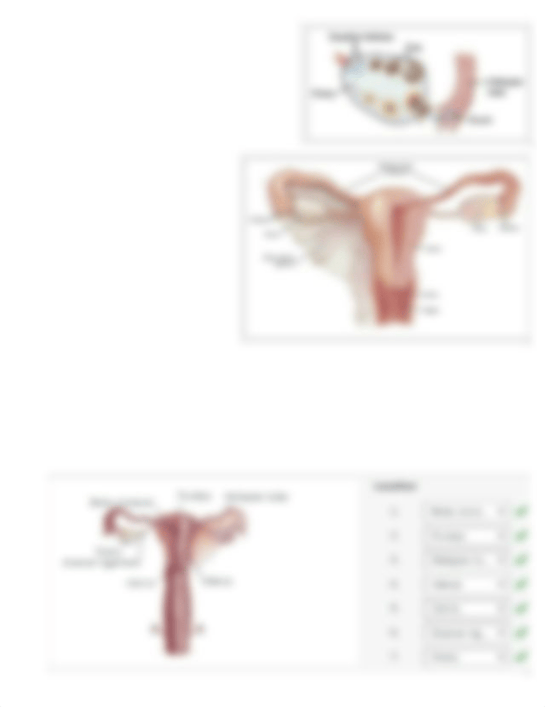 Chapter_12_Surgery_I_Book_Exercises_and_Notes.docx_dt53rtf74ju_page1