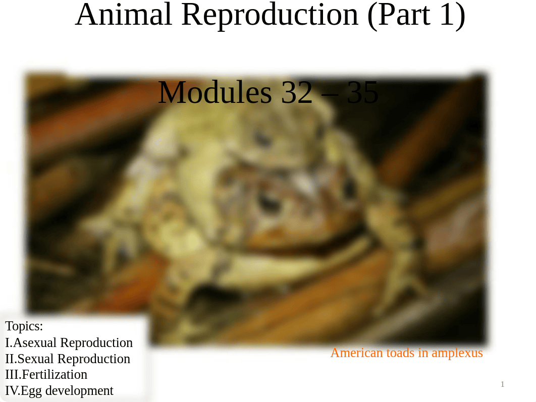 Lecture_17_Animal_reproduction_dt5857quu0g_page1