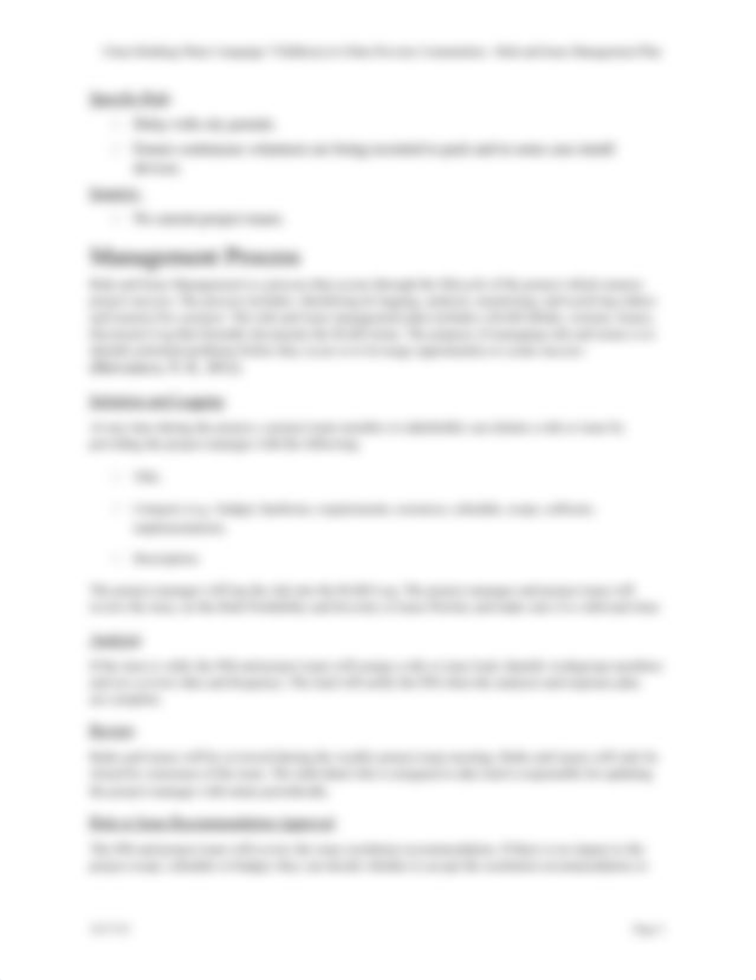 Risk and Issue Management Plan_Nathaniel_Valenzuela.docx_dt5b6gak6hc_page4