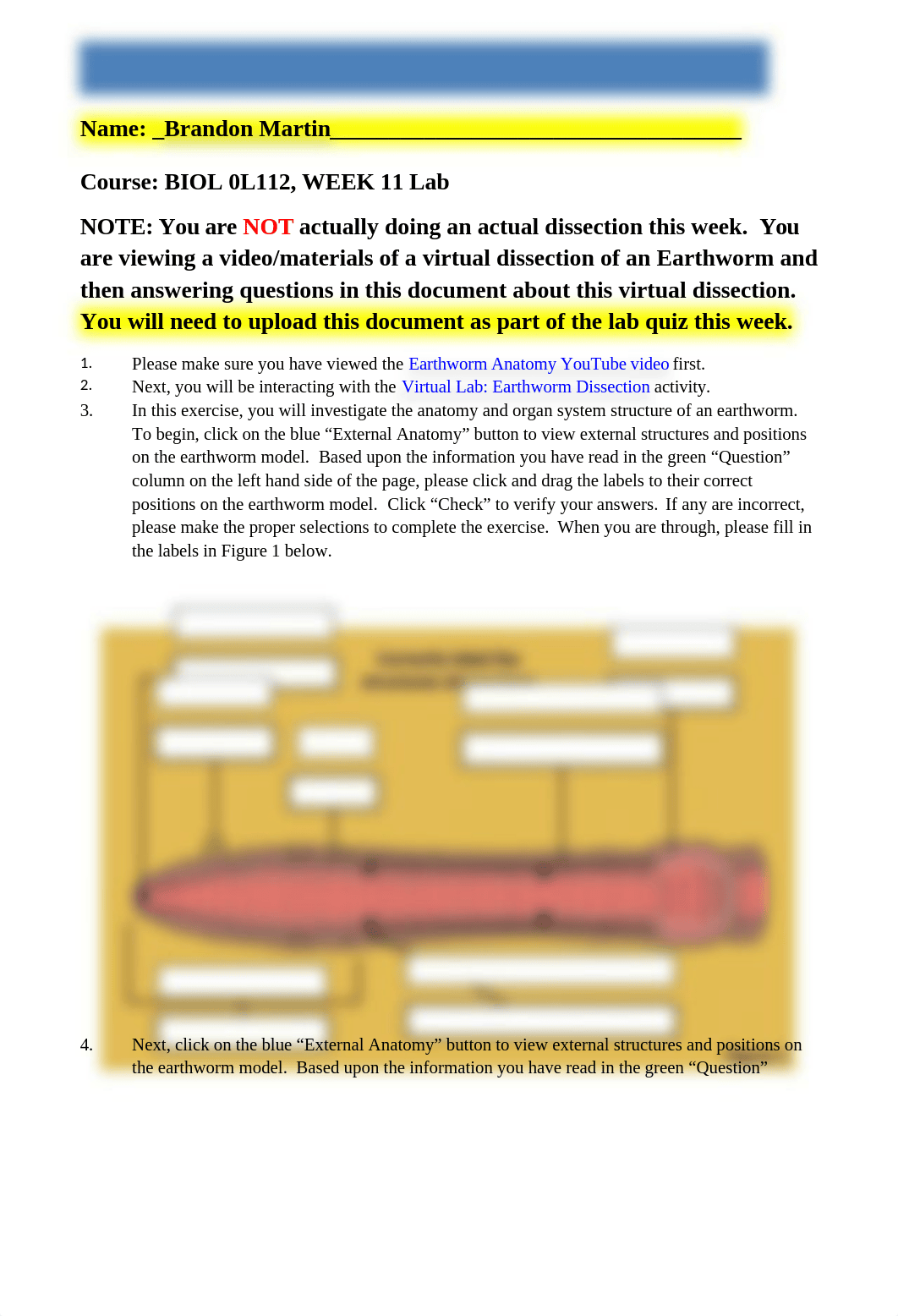 EARTHWORM DISSECTION STUDENT WORKSHEET.docx_dt5k1m7hb4b_page1