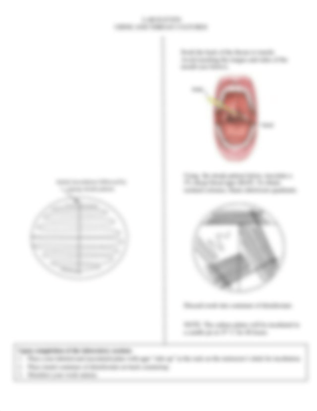 Lab 11 Urine_Throat Culture_dt5mxht0ya9_page1