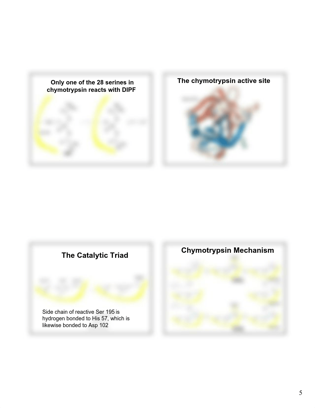 10.02 - Zhang - Enzyme Mechanism and Regulation_dt5rlm9h0oc_page5