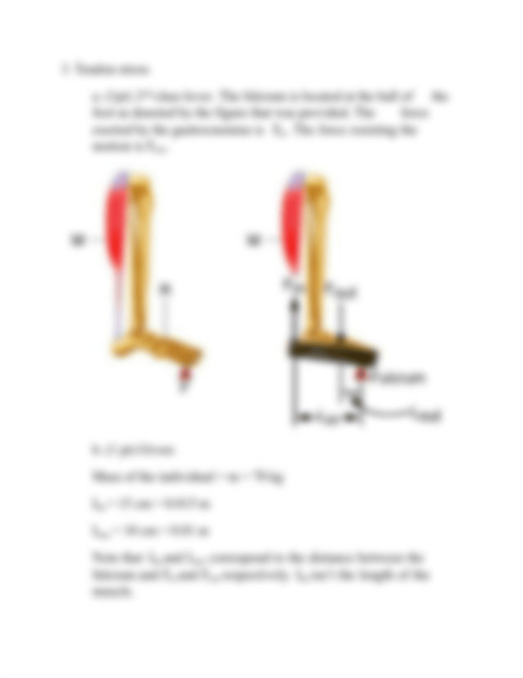 ProblemSet2Key.pdf_dt5uhw9jplo_page3