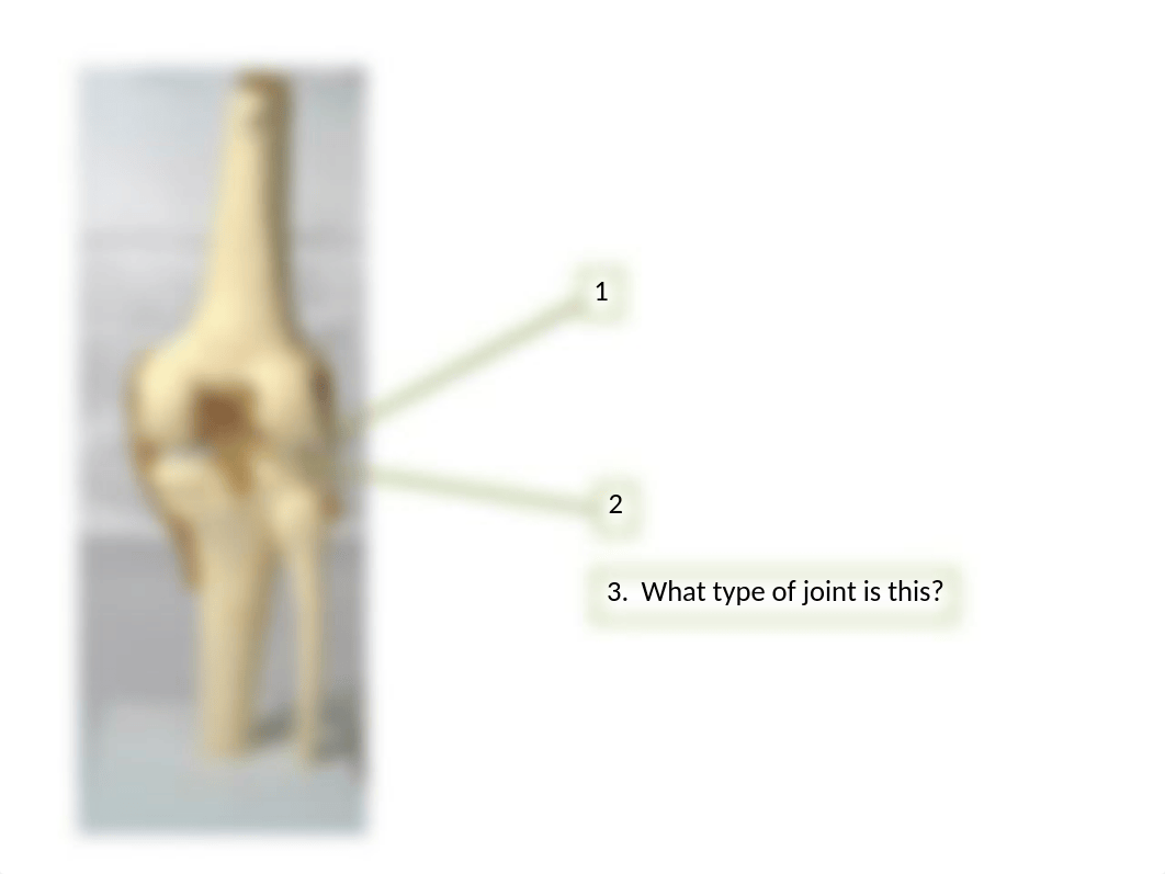 5.a. bio141 joint and muscle practice quiz (1).ppt_dt6adelh68n_page2