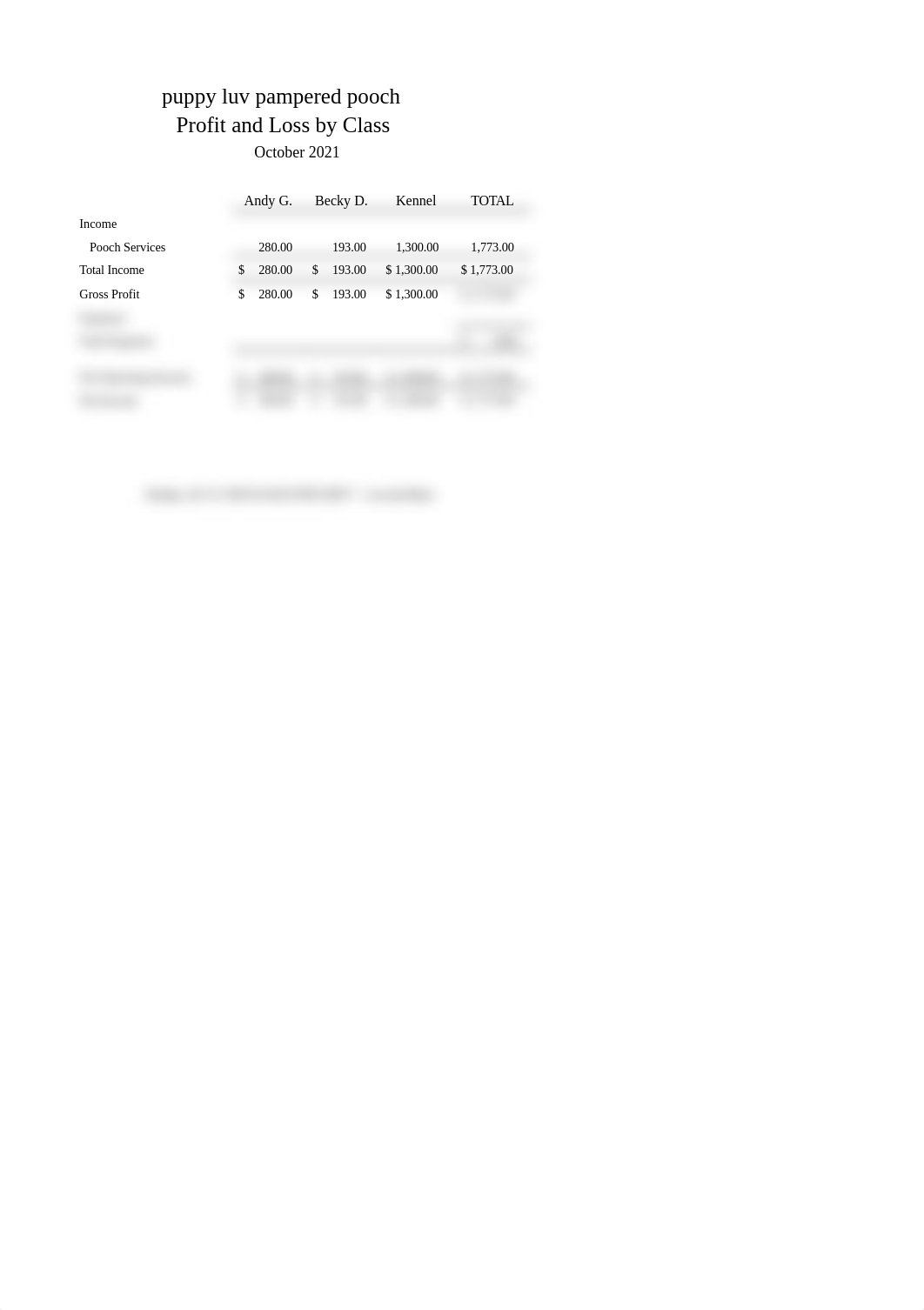 CH10 Profit and Loss By Class.xlsx_dt6f1pjs2k0_page1