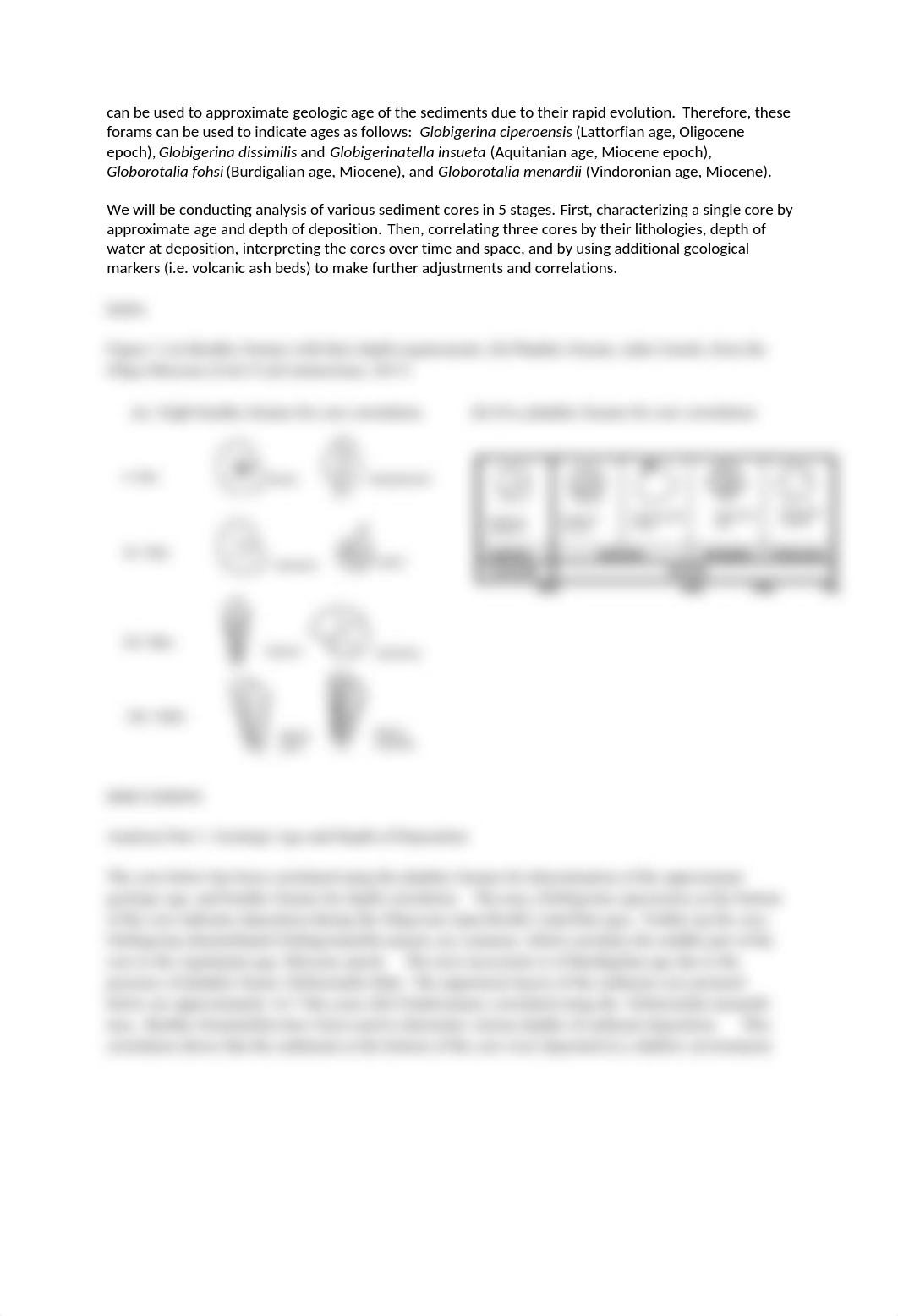 Unit 8 Lab_sed strat.docx_dt6lnpj4wnz_page2