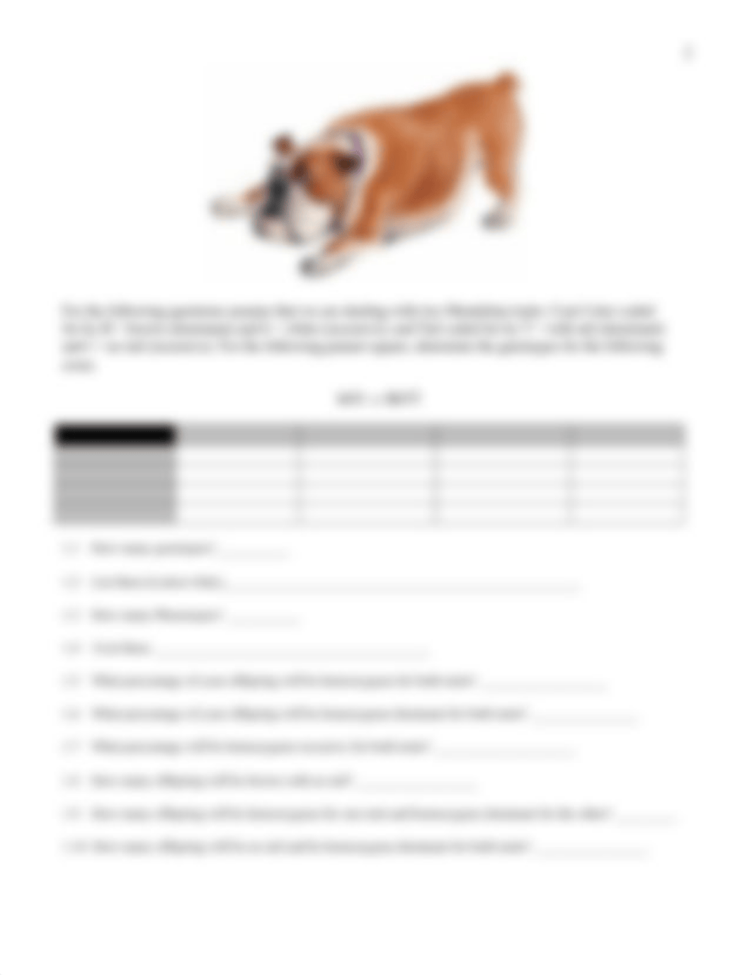 Lab Activity #3 - Punnett Squares-i.docx_dt6m6ubgj9p_page2