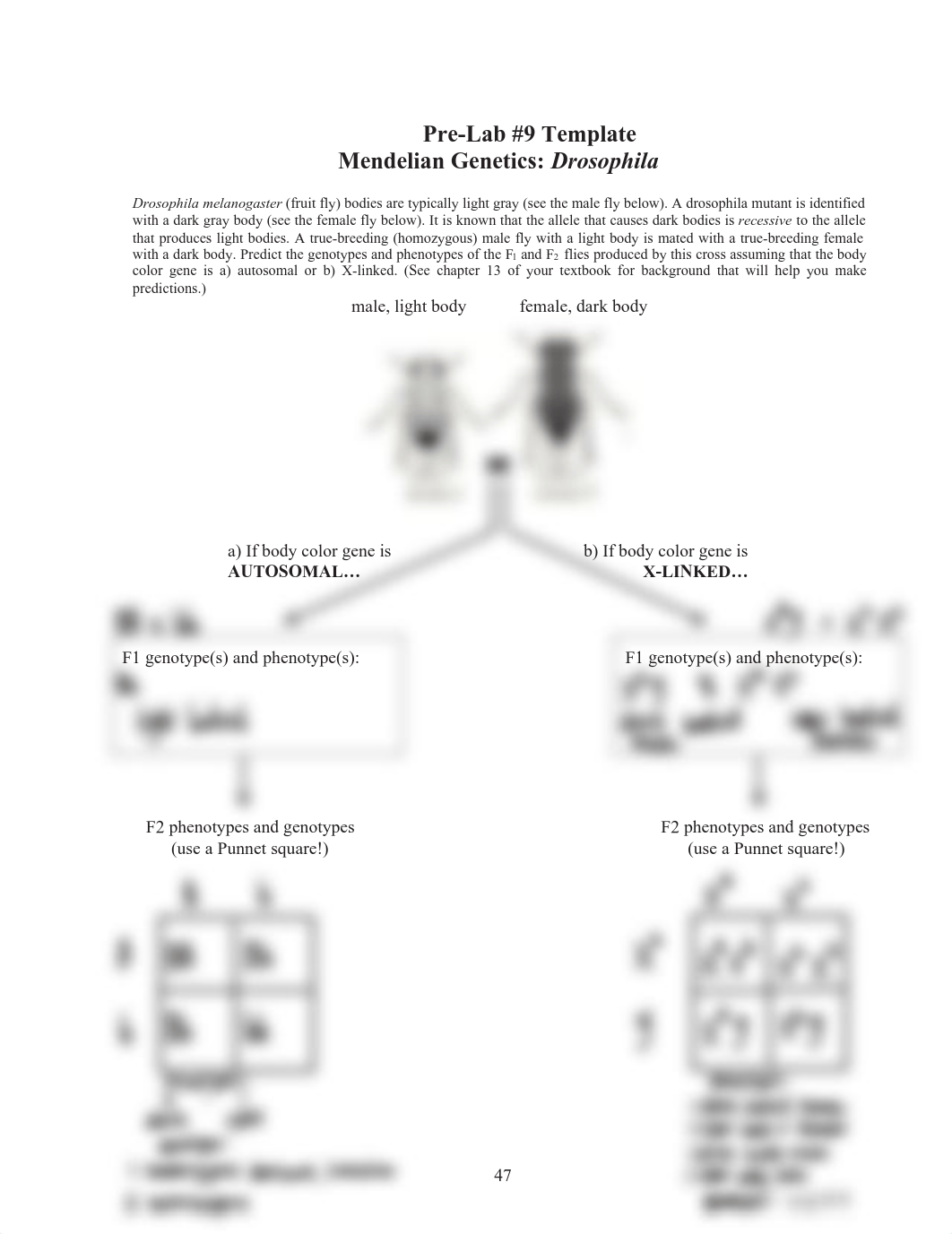 Pre-Lab #9.pdf_dt6mfoda06c_page1