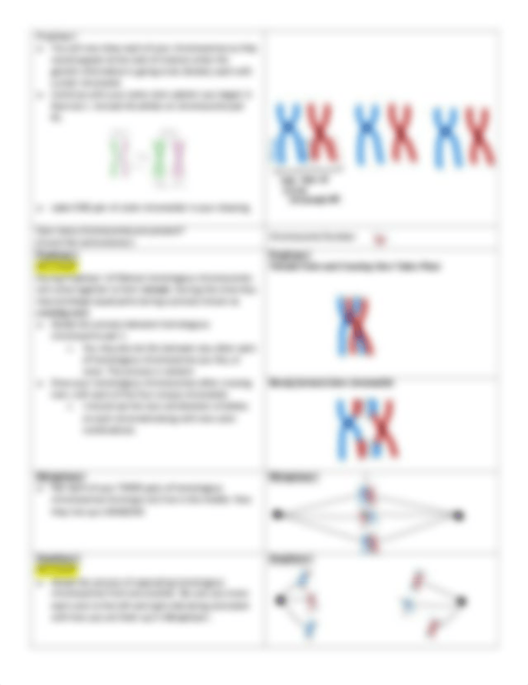 Modeling_Meiosis_2020.pdf_dt6xldkryy9_page3