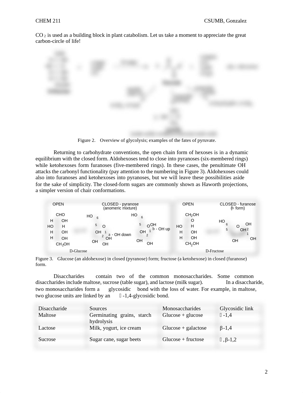 Exp 13 Fa20- CarbohydratesBryanMendez.pdf_dt72xxc3ax3_page2