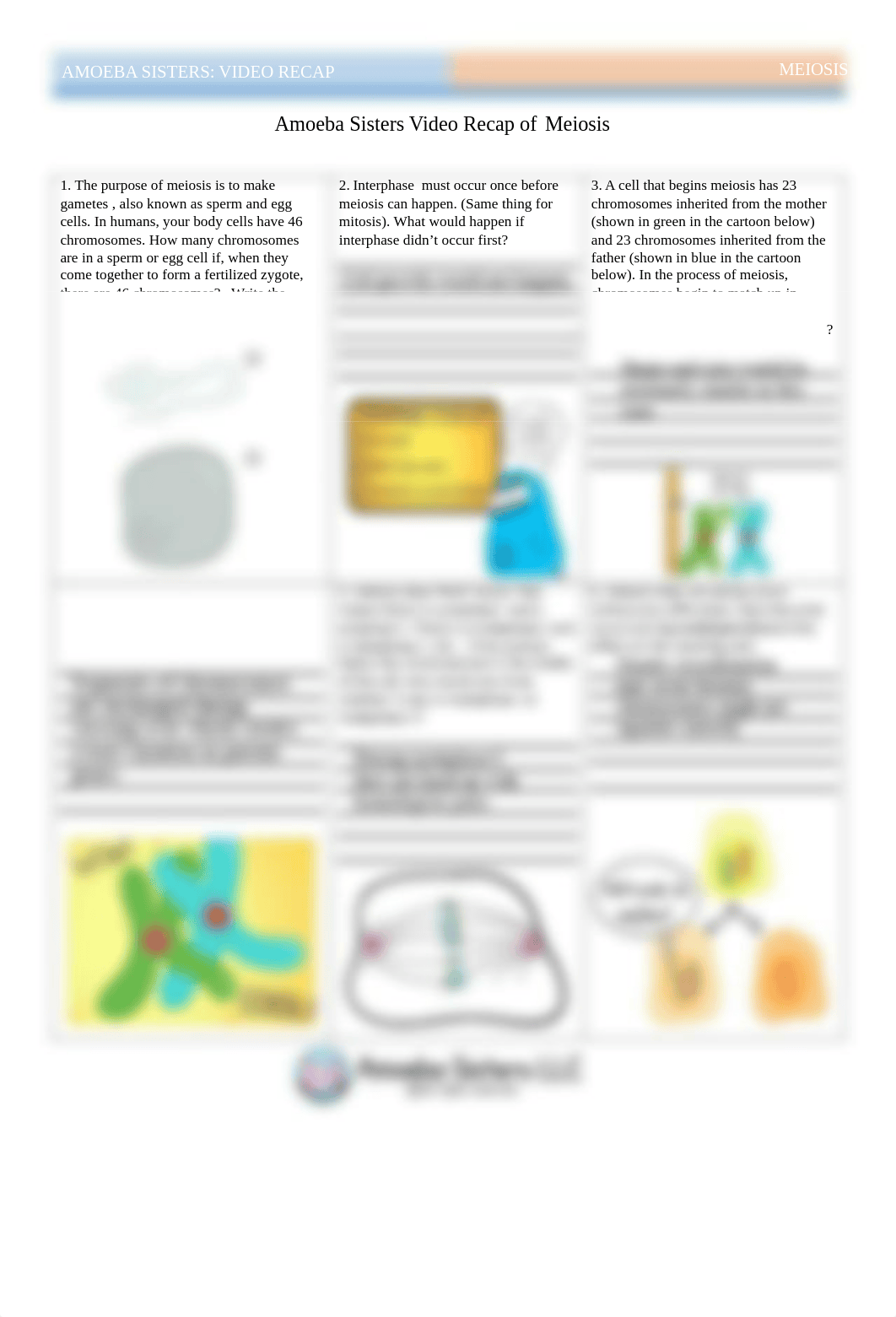 Meiosis Handout-1.pdf_dt7auajqdcg_page1