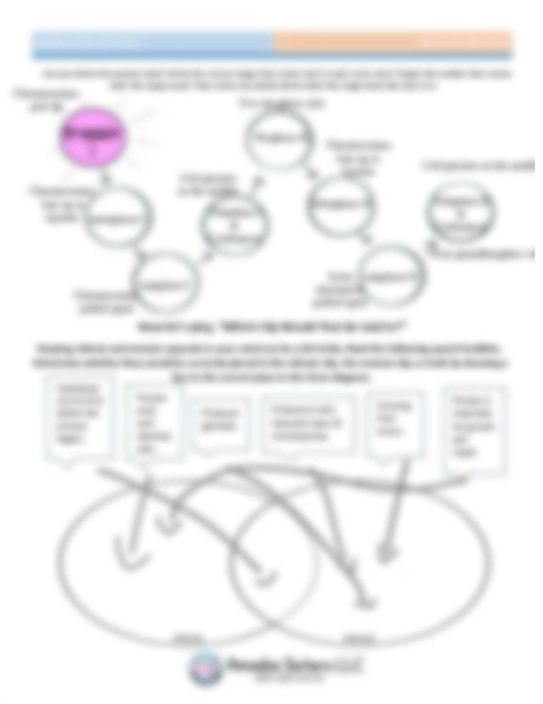 Meiosis Handout-1.pdf_dt7auajqdcg_page2