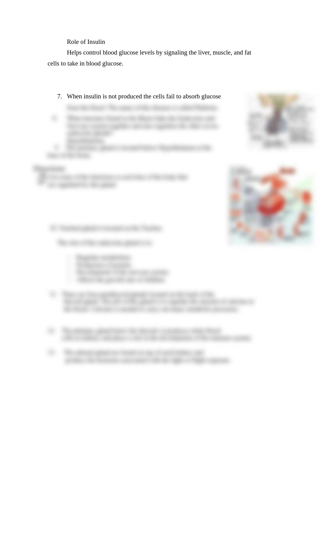 Endocrine System Video Worksheet.doc_dt7cwgbx4g2_page2