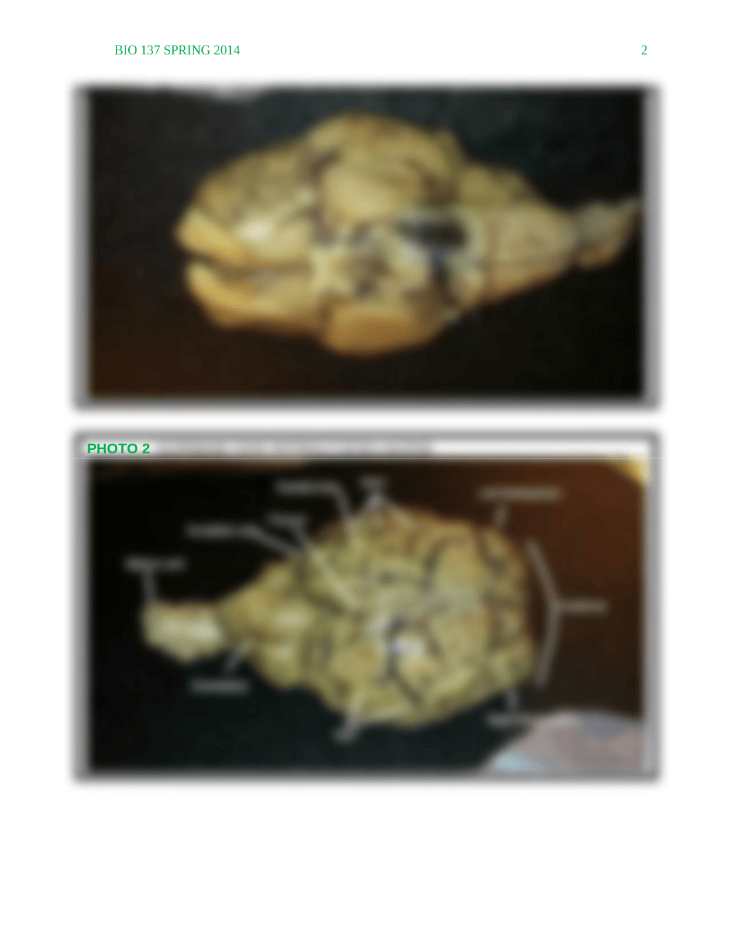 hardin.lab15_dt7oypkhpsb_page2