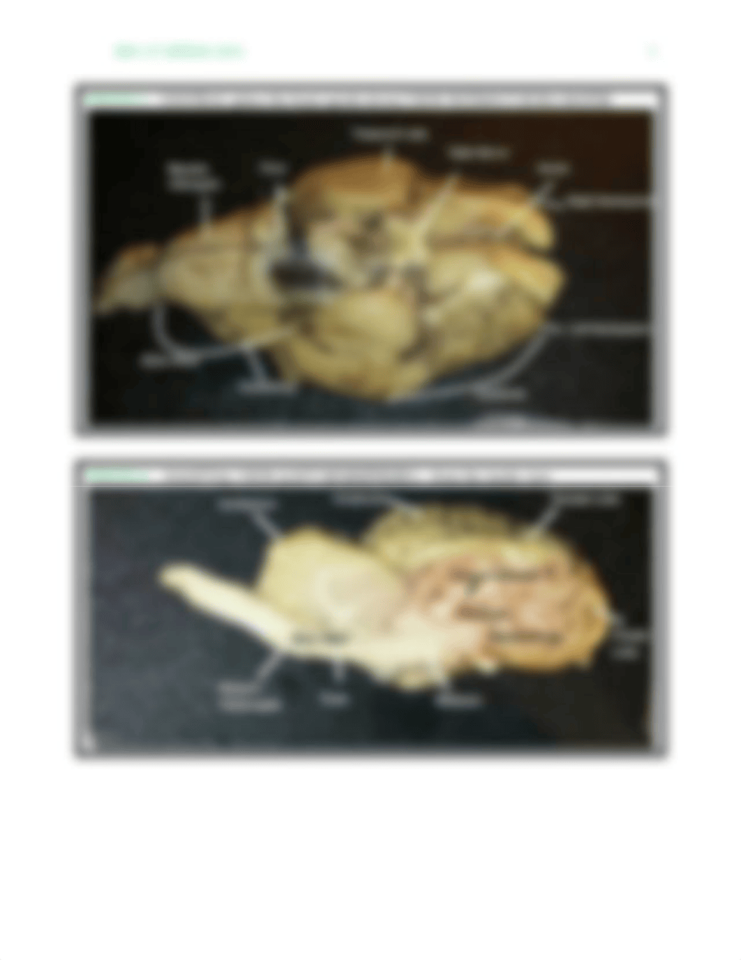 hardin.lab15_dt7oypkhpsb_page3