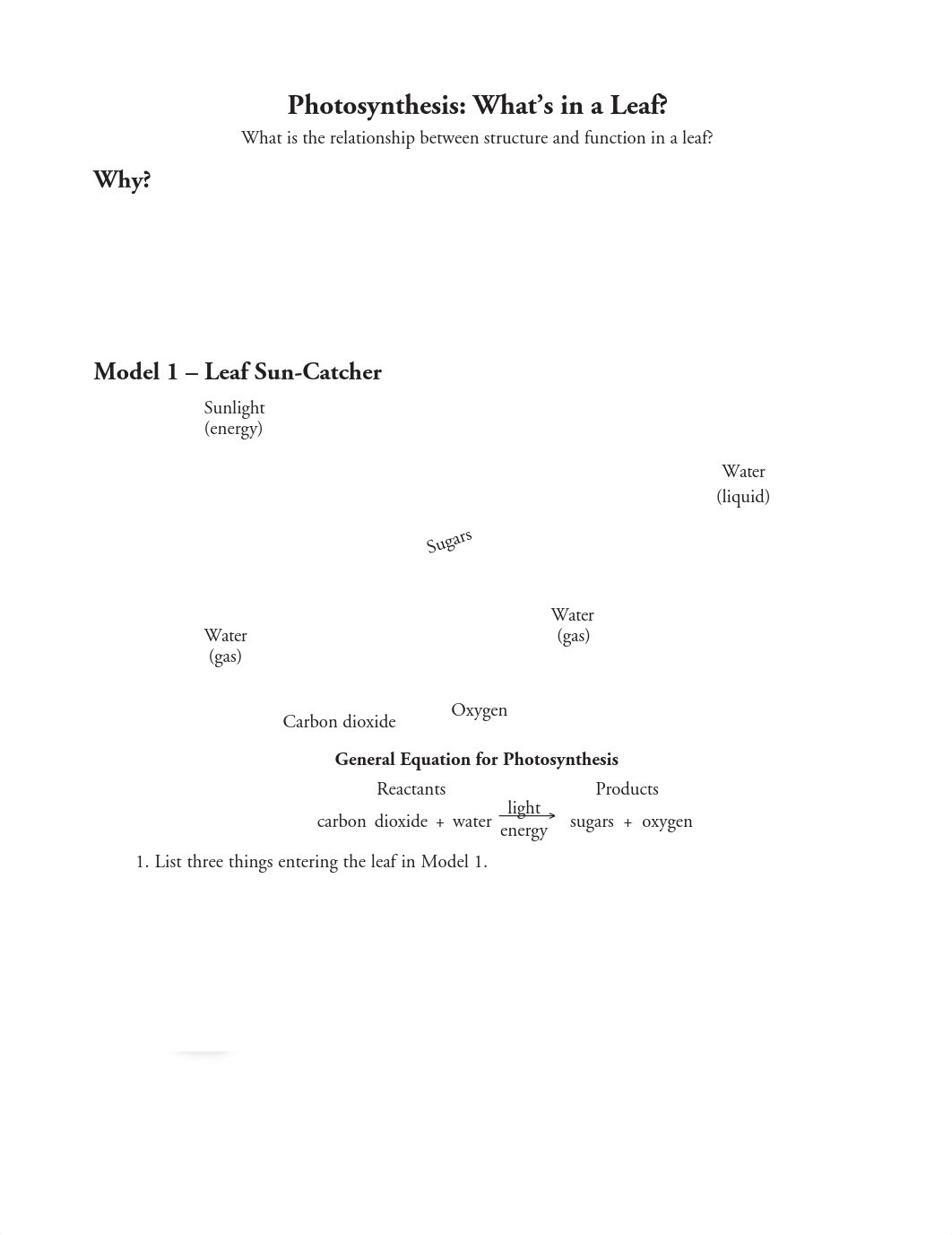 12_Photosynthesis-Whats_in_a_Leaf-S (1).pdf_dt7p51b0qi8_page1