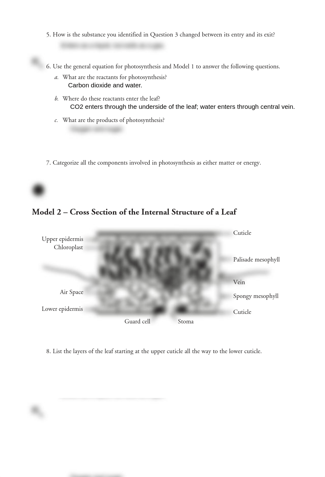 12_Photosynthesis-Whats_in_a_Leaf-S (1).pdf_dt7p51b0qi8_page2