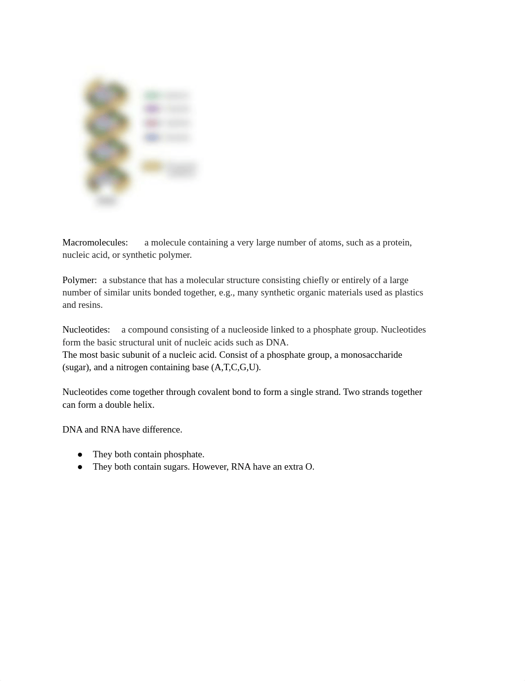 genetic Study Guide.docx_dt7psjxzlhz_page2