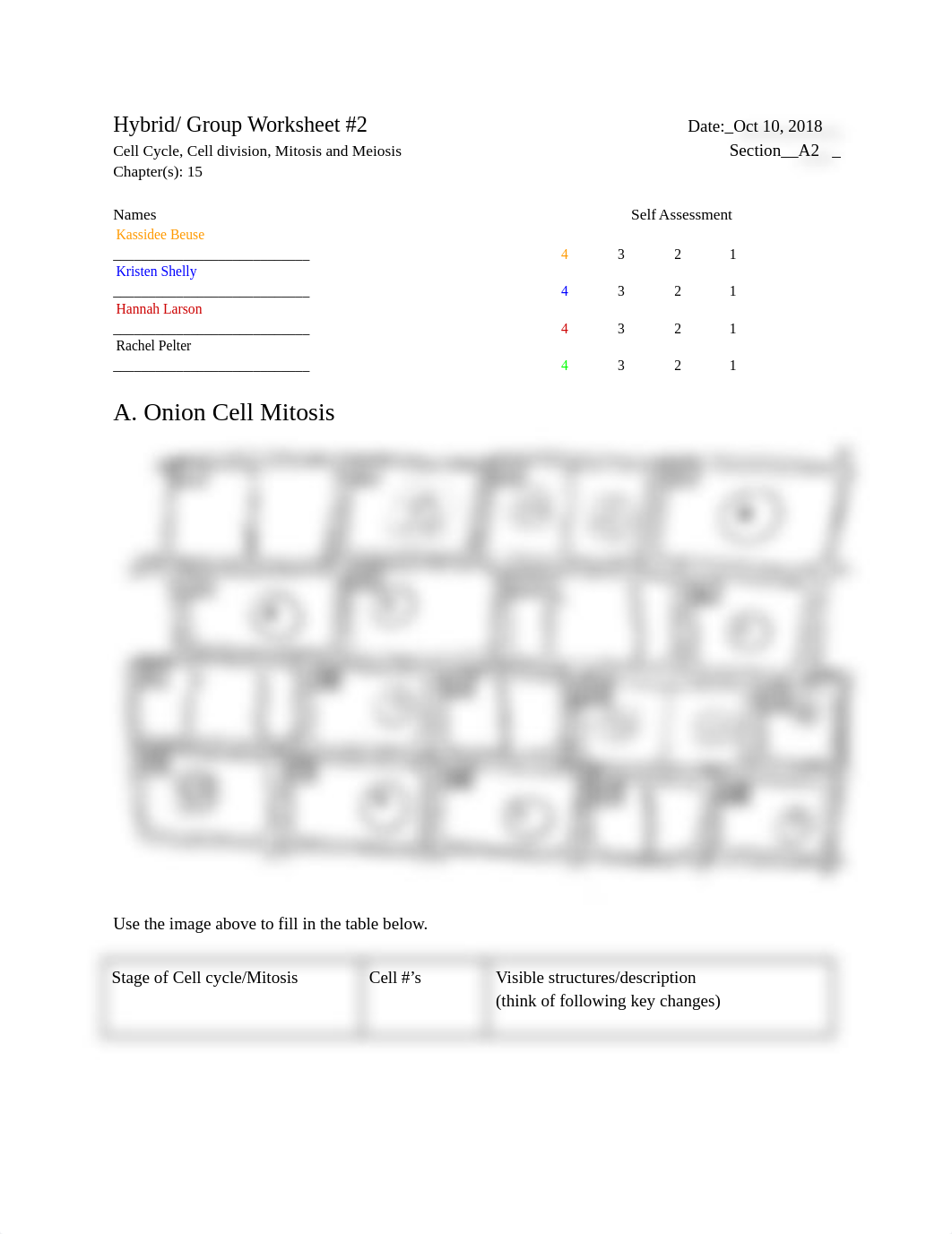 Hybrid%2F Group Worksheet #2 .docx_dt7rfs6qhv3_page1