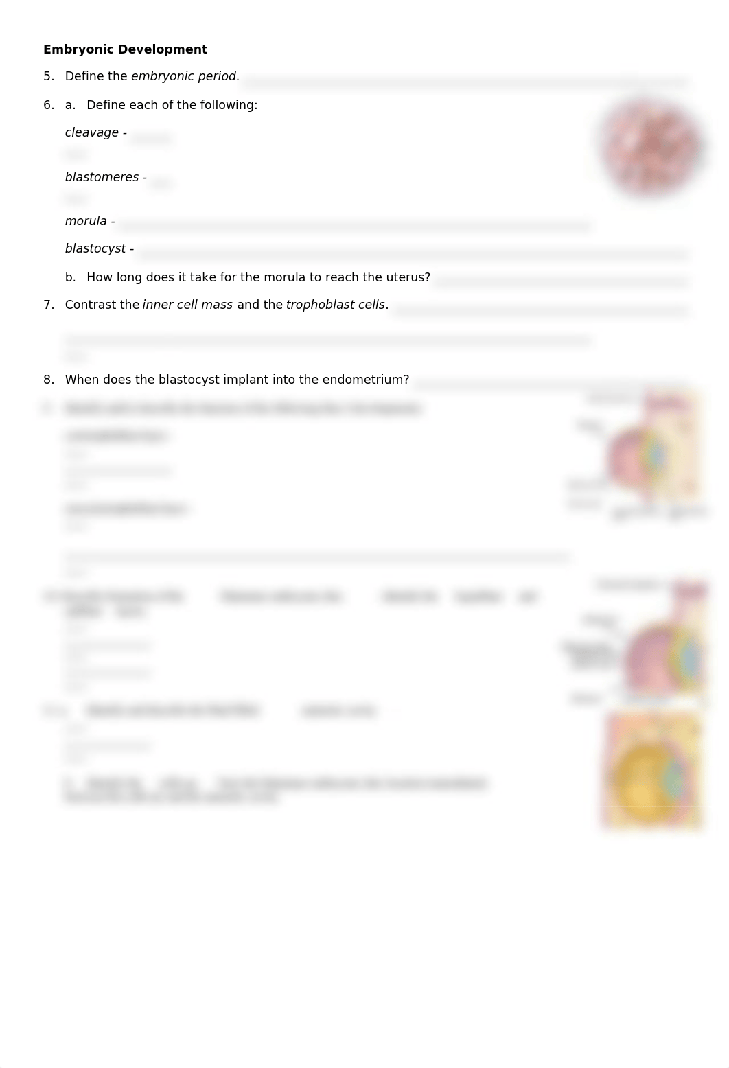 CHAPTER 29--Fertilization and Development_dt7ud99ramp_page2