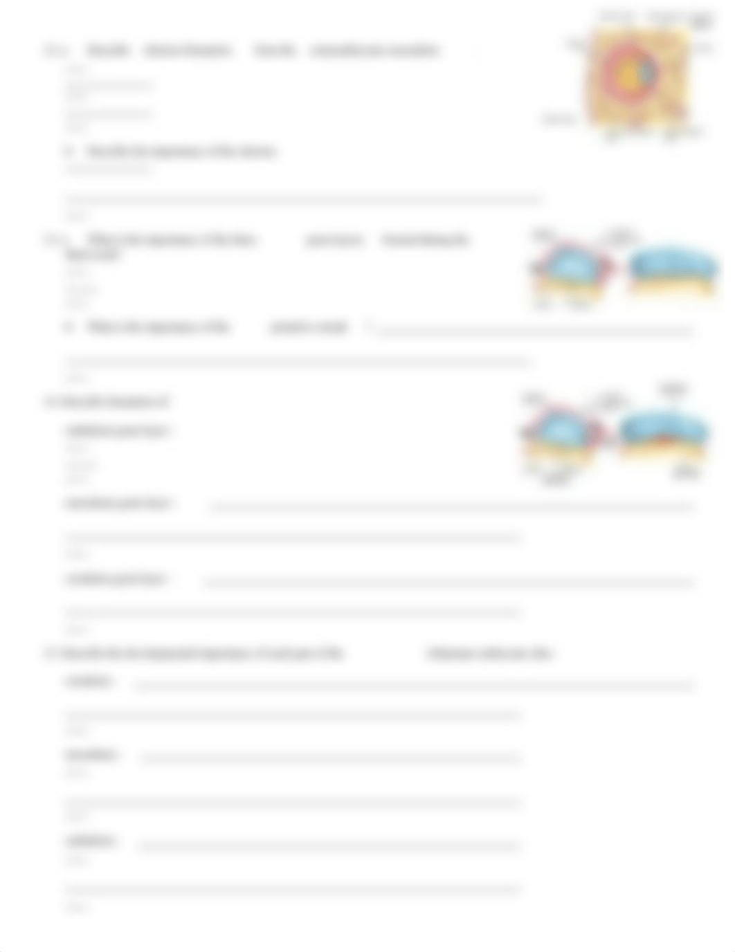 CHAPTER 29--Fertilization and Development_dt7ud99ramp_page3