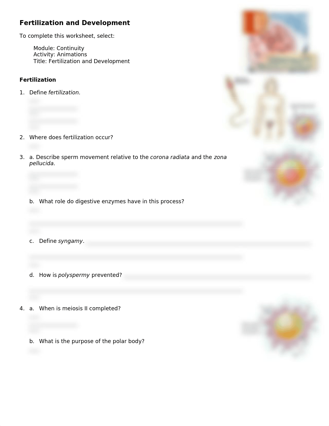 CHAPTER 29--Fertilization and Development_dt7ud99ramp_page1