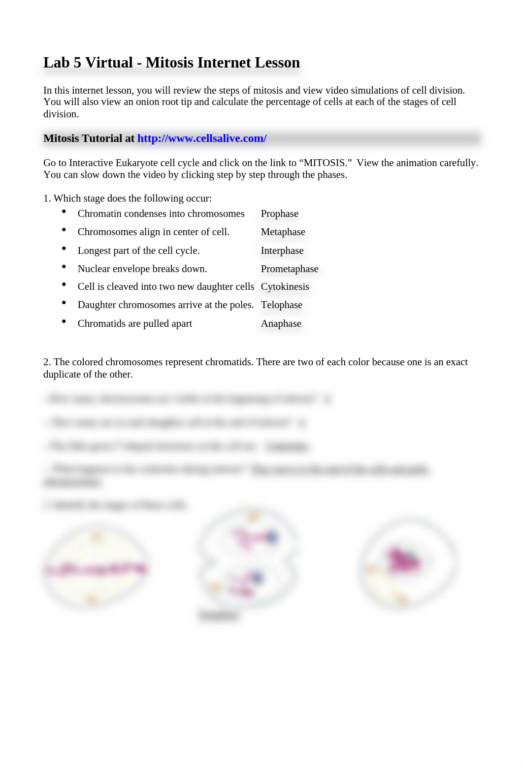 Online Lab 5 - Mitosis.docx_dt7v0b4fphd_page1