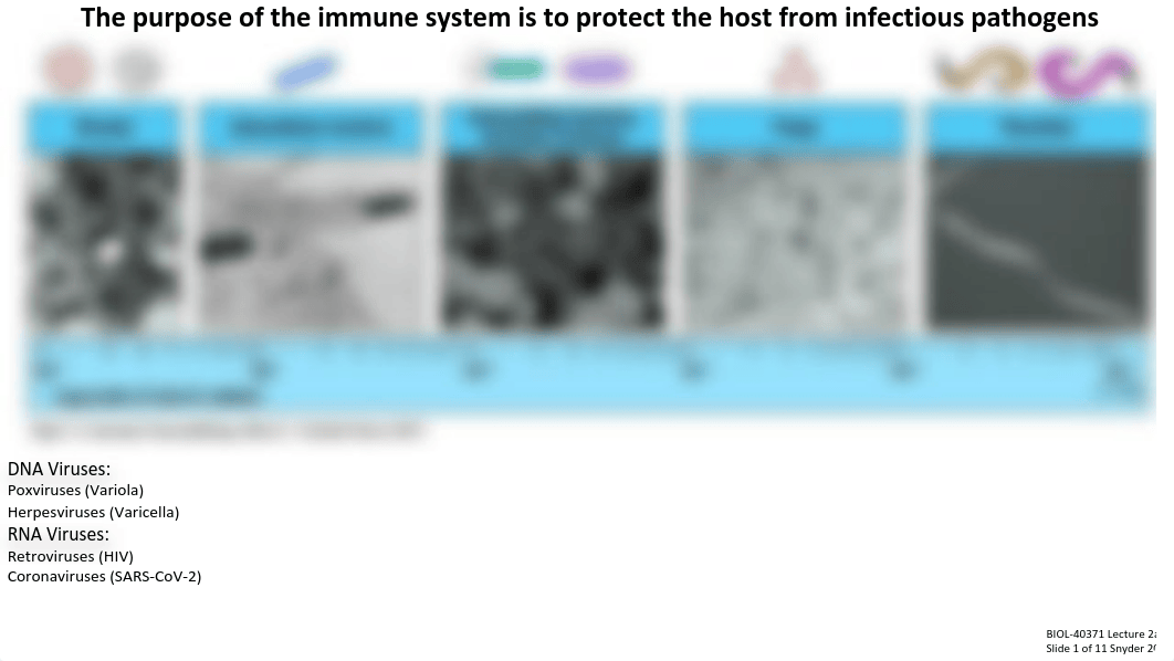 Lecture 2a_Introduction to Innate Immunity.pdf_dt7ysmtcx30_page2